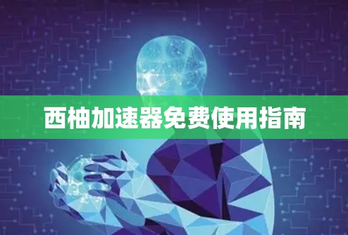 西柚加速器免费使用指南 西柚加速器免费使用指南