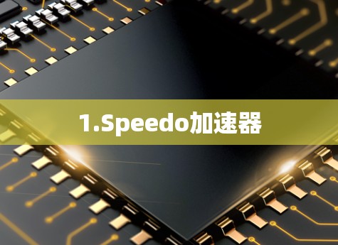 1.Speedo加速器
