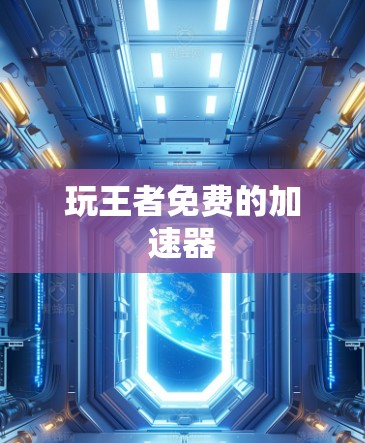 玩王者免费的加速器