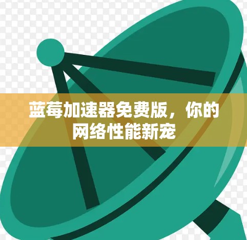 蓝莓加速器免费版，你的网络性能新宠