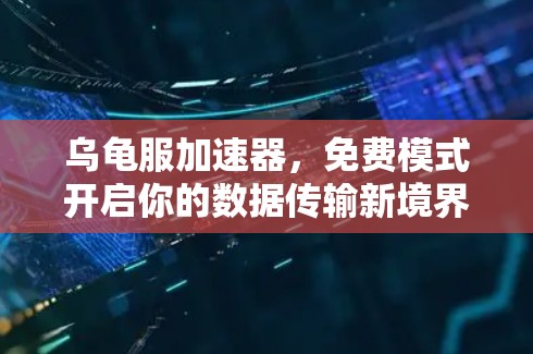 乌龟服加速器,免费模式开启你的数据传输新境界