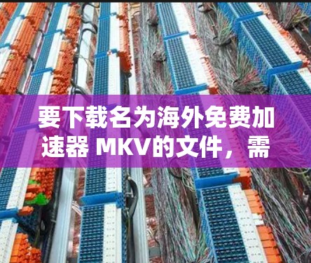 要下载名为海外免费加速器 MKV的文件,需要注意以下几点
