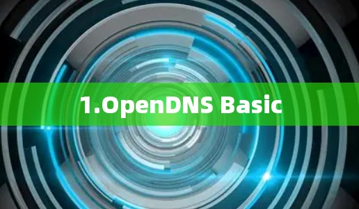 1.OpenDNS Basic