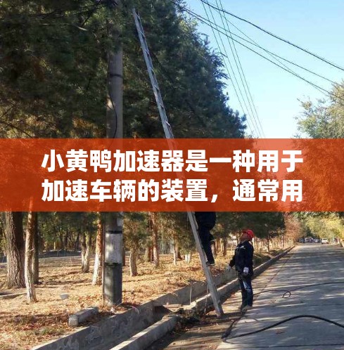 小黄鸭加速器是一种用于加速车辆的装置,通常用于在停车场或小路上。以下是一些免费的小黄鸭加速器的推荐途径