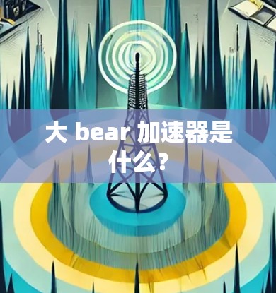 大 bear 加速器是什么？