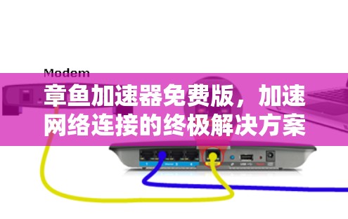 章鱼加速器免费版,加速网络连接的终极解决方案